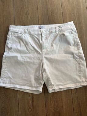 Lane Bryant Denim Shorts-EUC